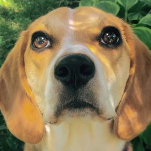 Meet your Posher, Caroline